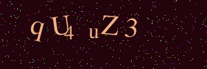Validation image